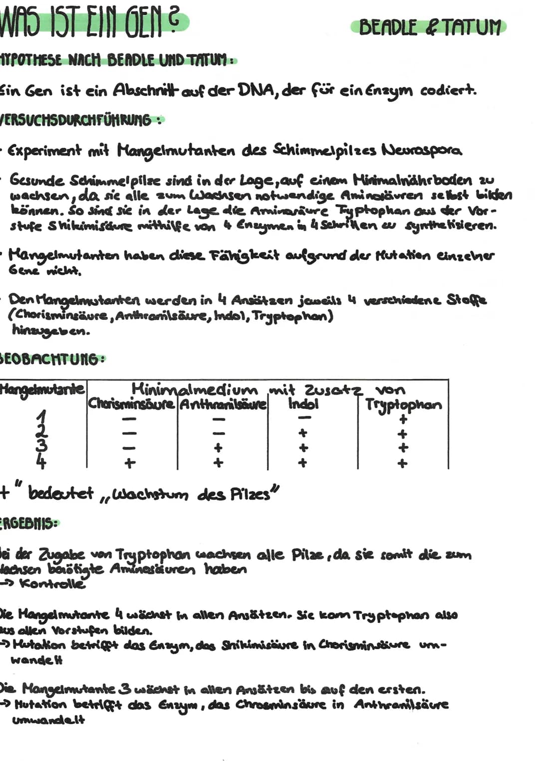 WAS IST EIN GEN?
HYPOTHESE NACH BEADLE UND TATUM:
Ein Gen ist ein Abschnitt auf der DNA, der für ein Enzym codiert.
VERSUCHSDURCHFÜHRUNG:
BE