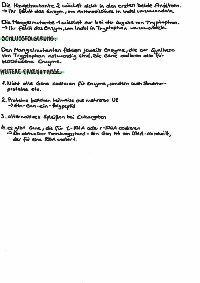 WAS IST EIN GEN?
HYPOTHESE NACH BEADLE UND TATUM:
Ein Gen ist ein Abschnitt auf der DNA, der für ein Enzym codiert.
VERSUCHSDURCHFÜHRUNG:
BE
