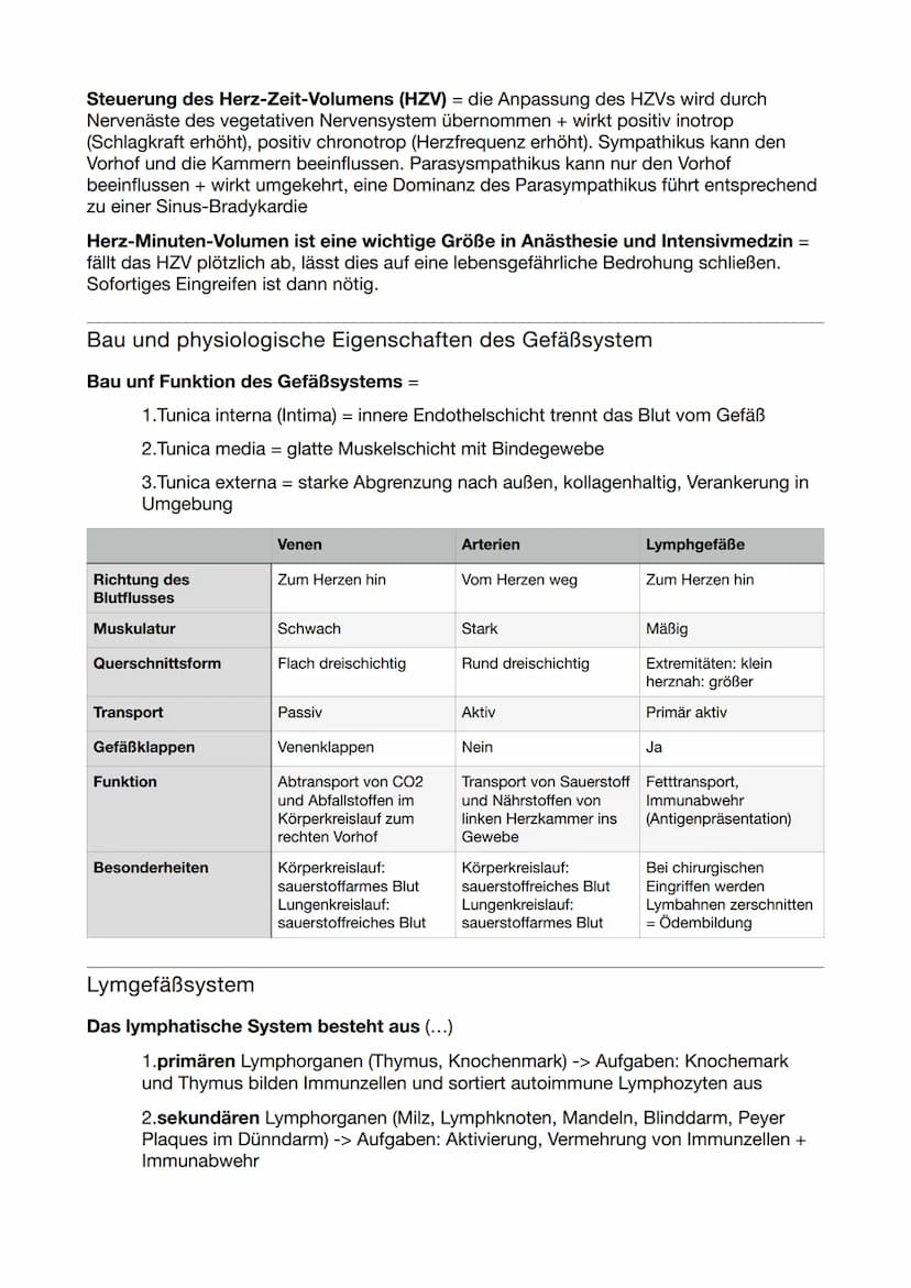 Kreislaufsystem
Herz- und Kreislauf
Arterien bringen Blut vom Herzen weg
sauerstoffreich im Körperkreislauf sauerstoffarm im
Lungenkreislauf