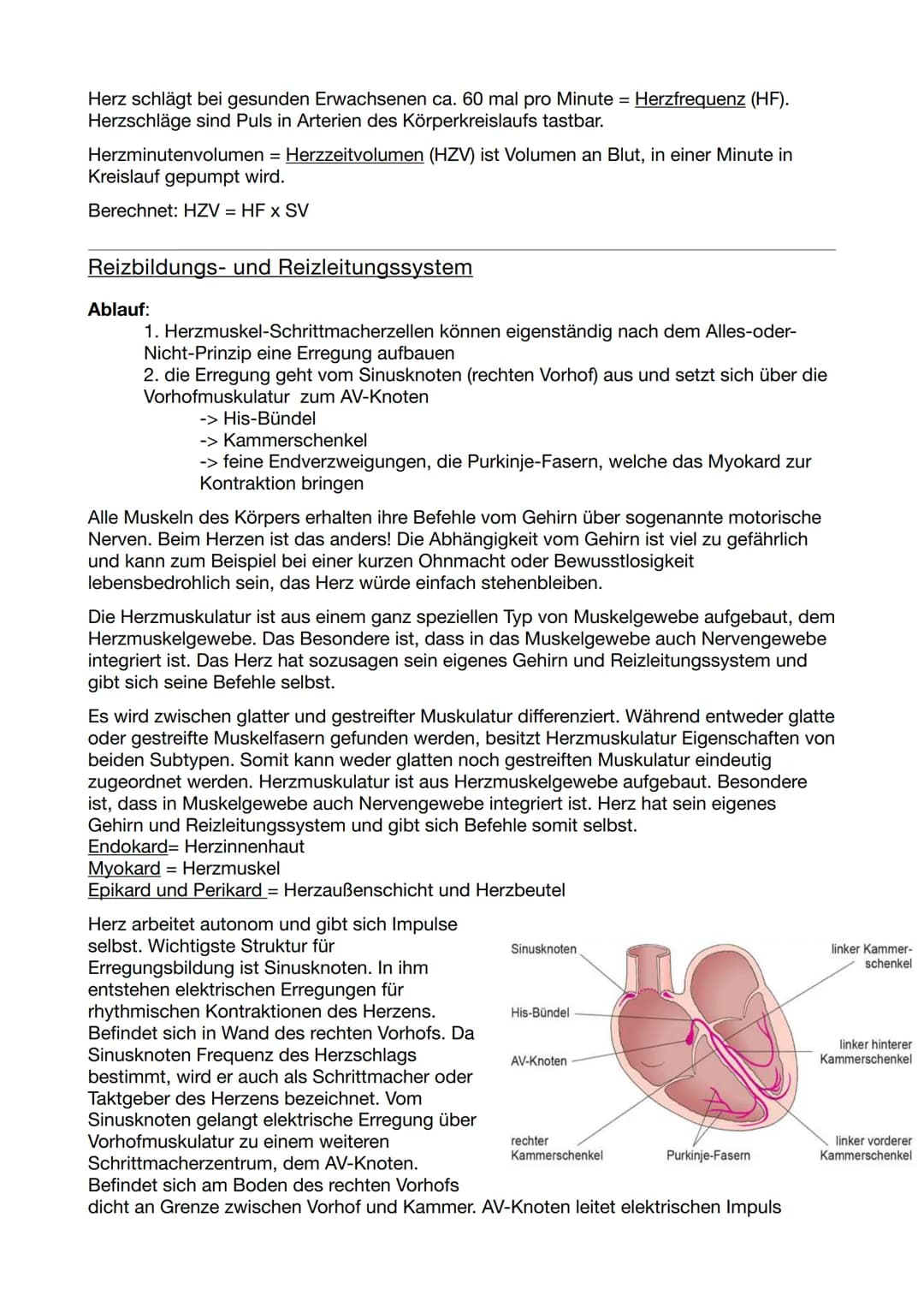 Kreislaufsystem
Herz- und Kreislauf
Arterien bringen Blut vom Herzen weg
sauerstoffreich im Körperkreislauf sauerstoffarm im
Lungenkreislauf