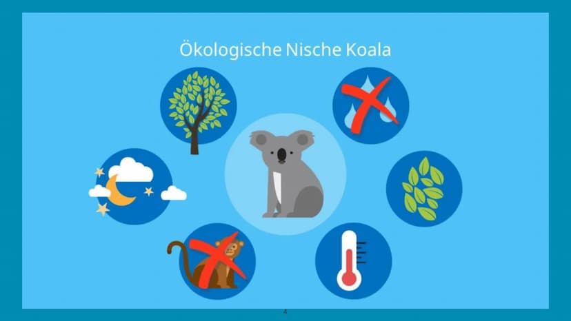 Handout - Ökologische Nische
Hannah Schmitt
Bi_LK_1 - Shf
Ökologische Nische
-> Die Ökologische Nische beschreibt die Gesamtheit der Beziehu