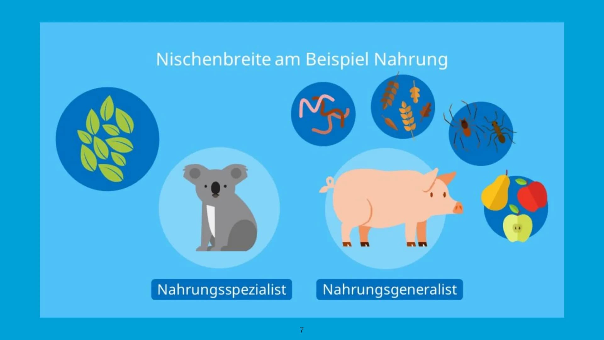 Handout - Ökologische Nische
Hannah Schmitt
Bi_LK_1 - Shf
Ökologische Nische
-> Die Ökologische Nische beschreibt die Gesamtheit der Beziehu