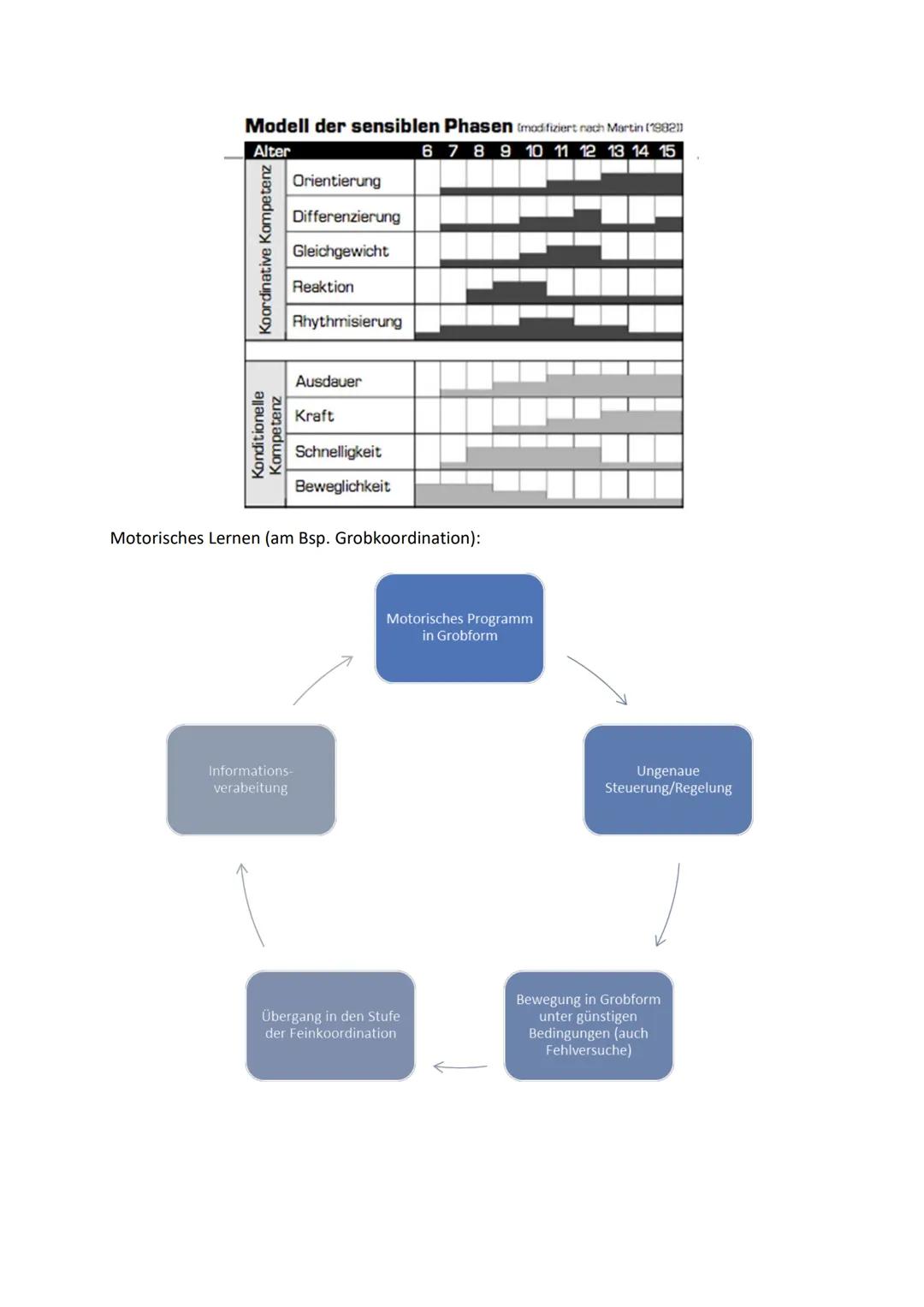 # Bewegungslernen und Taktiktraining

Grundlagen motorischen Lernens:

Lernen: die individuelle Anpassung an Bedingungen durch das Gedächtni