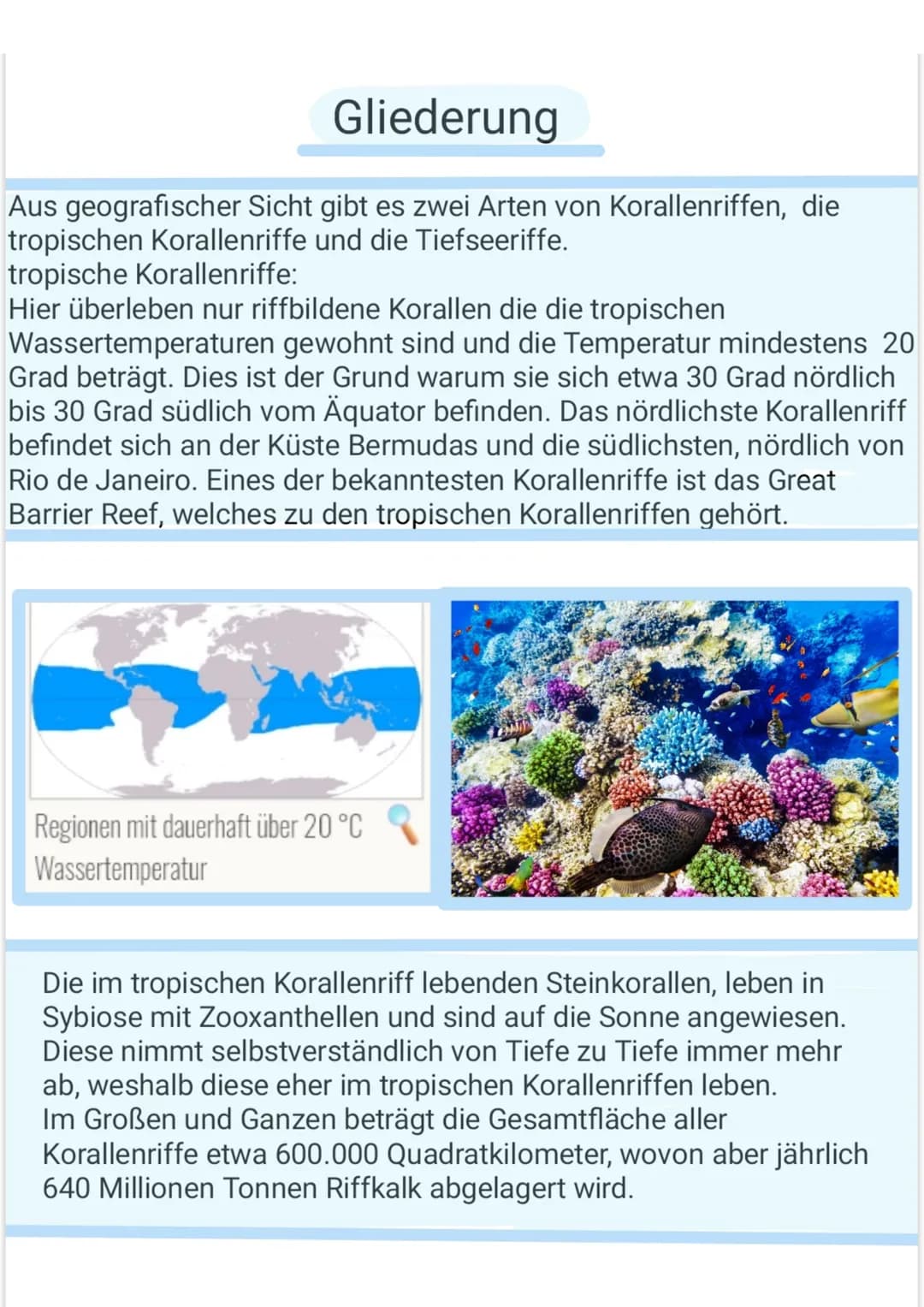 Hierbei ist allerdings zu bedenken, dass die Pflanzen sehr langsam
wachsen und so sehr große Korallenriffe oft mehrere tausend
Jahre alt sei