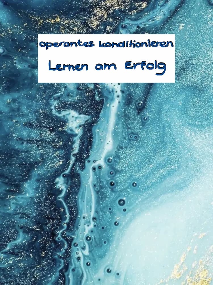 Know Operantes Konditionieren / Lernen am Erfolg thumbnail