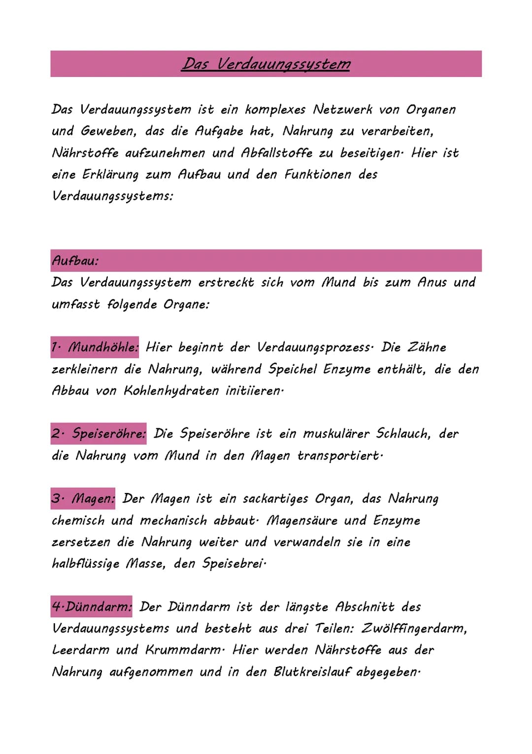 Das Verdauungssystem 