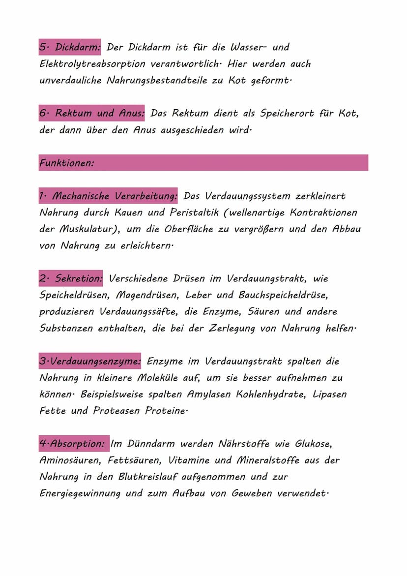 Das Verdauungssystem
Das Verdauungssystem ist ein komplexes Netzwerk von Organen
und Geweben, das die Aufgabe hat, Nahrung zu verarbeiten,
N