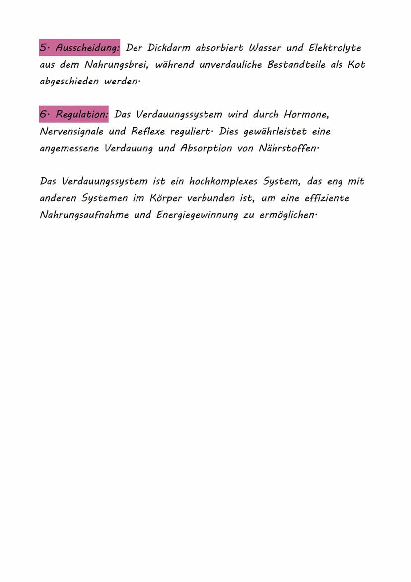 Das Verdauungssystem
Das Verdauungssystem ist ein komplexes Netzwerk von Organen
und Geweben, das die Aufgabe hat, Nahrung zu verarbeiten,
N
