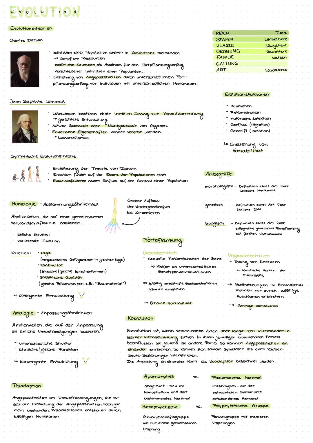 EVOLUTION
Evolutionstheorien
Charles Darwin
• Individuen einer Population stehen in Konkurrenz zueinander..
- Kampf um Ressourcen
natürliche