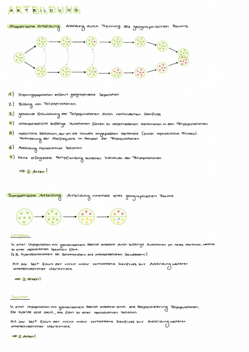 EVOLUTION
Evolutionstheorien
Charles Darwin
• Individuen einer Population stehen in Konkurrenz zueinander..
- Kampf um Ressourcen
natürliche