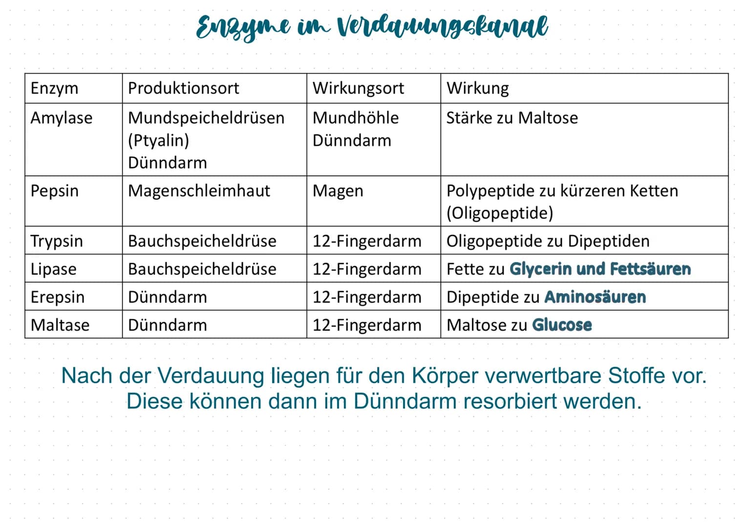 Mundhöhle (1
Zunge 2
Speicheldrüsen (3
Luftröhre (4
Leber (5
Gallenblase 10
Zwölffingerdarm 11
Dünndarm 12
6) Rachen
7 Kehlkopfdeckel
8 Spei