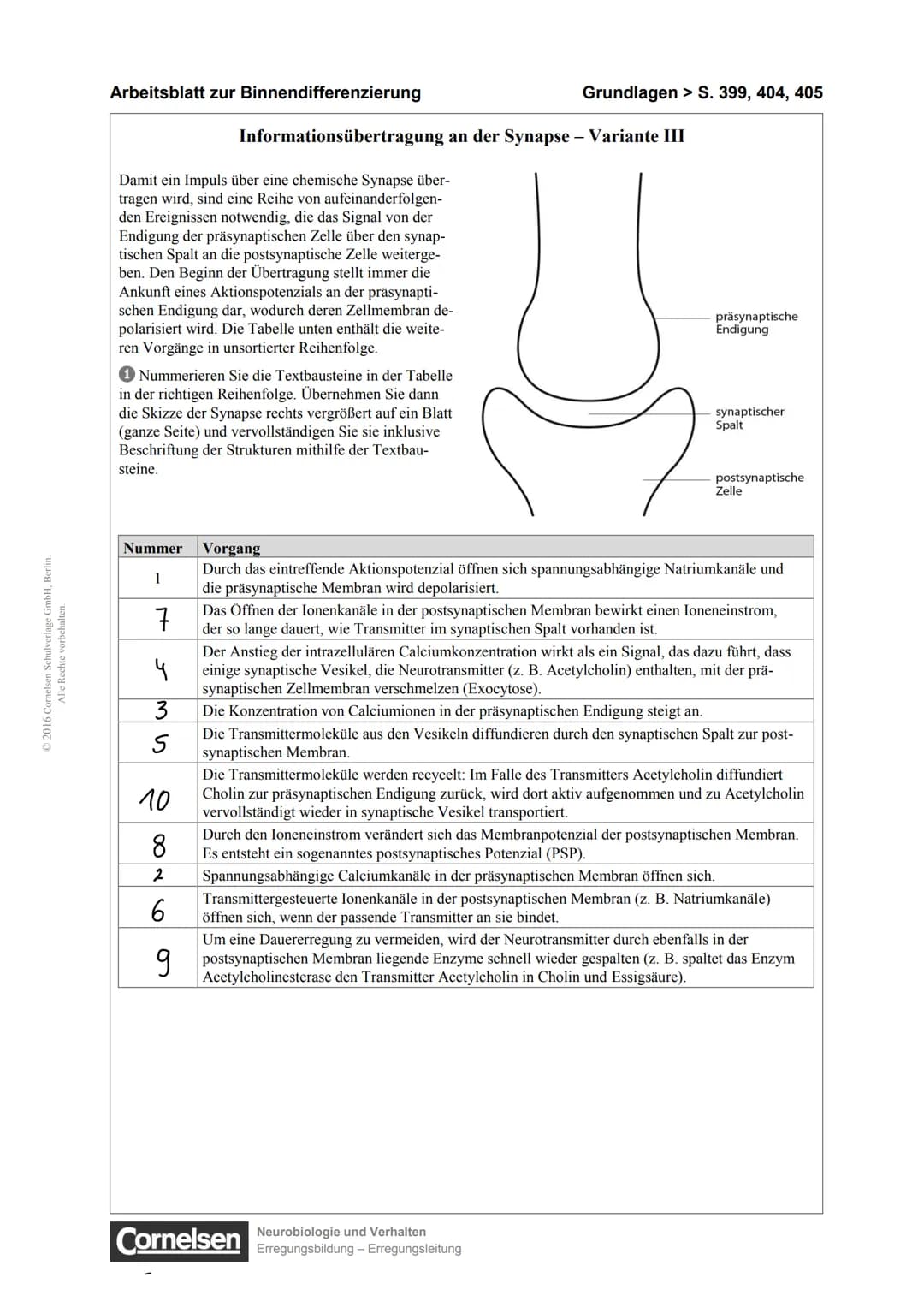 05. 02. 2021
spannungs-
abhängiger
Natriumkanal
2.
Verhindert
Signal
Ca²
Na
Ca²
spannungs-
abhängiger
Calciumkanal
JPSP-
Transmitter
Л
EPSP-
