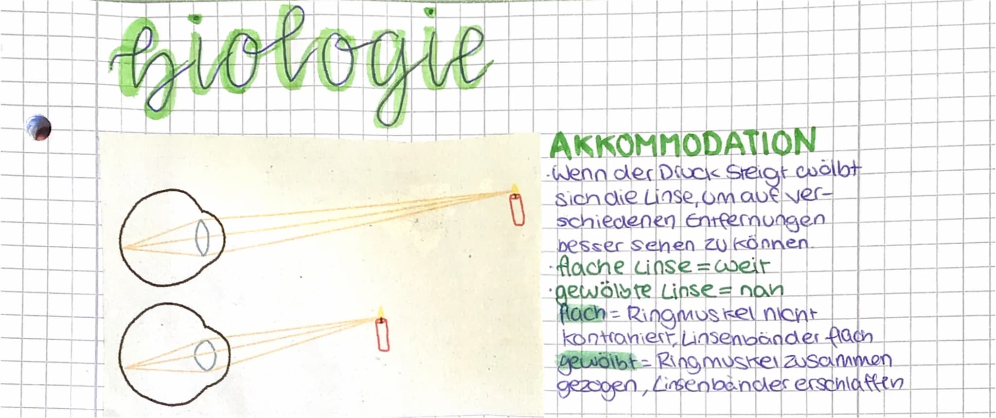 biologie
Sinnes organ
Auge
Naše
Ohr
Haut
| Zunge
Adequater Reiz:
Sinneszellen reagieren nur angemessen, wenn ein passender Reiz
eintrifft. D