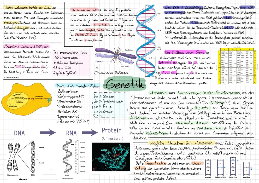 Genetik