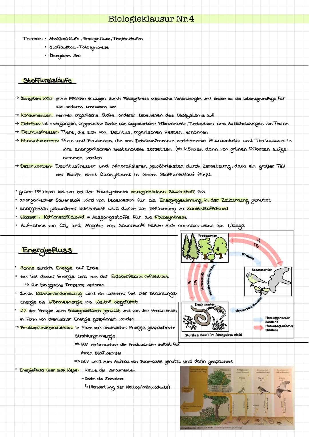 Ökologie; Stoffkreisläufe und Energiefluss + Ökosystem See