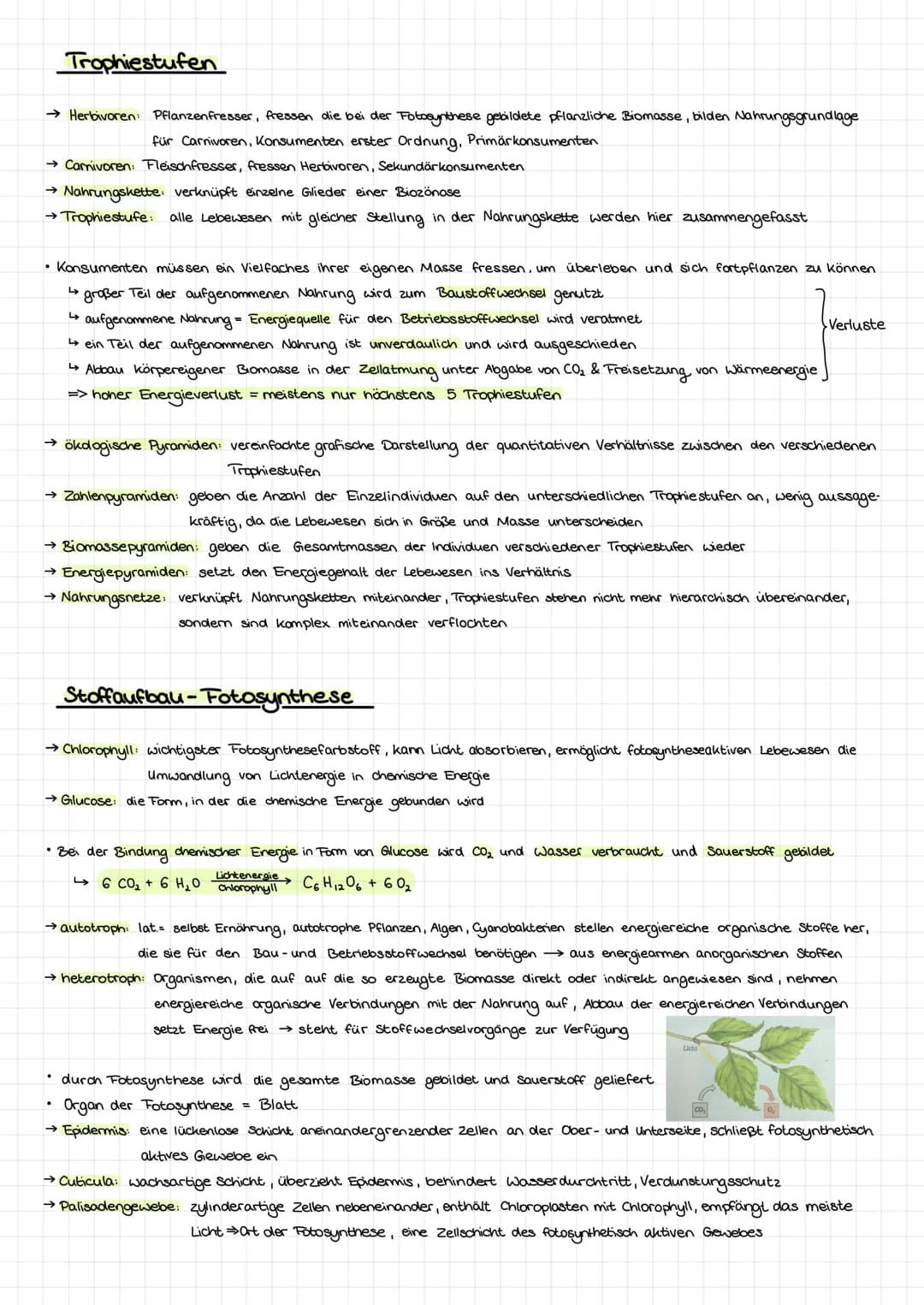 Themen Stoffkreisläufe, Energiefluss, Trophiestufen
.
.
Biologieklausur Nr.4
Stoffaufbau-Fotosynthese
Okosystem See
Stoffkreislaufe
→ Ökosys
