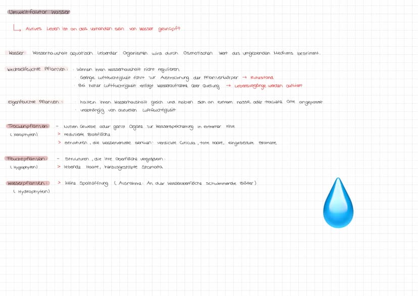 Biologie Q1 Klausur Nr.4 (2021 LK): Ökologie Teil 2
Themenübersicht:
●
●
●
●
●
Ökologische Grundbegriffe: Ökosystem, Biotop, Biozönose, Bios