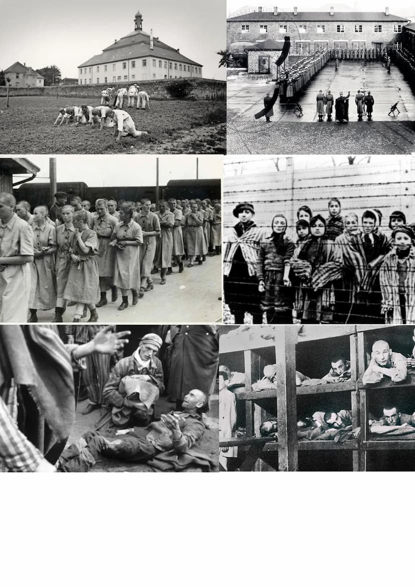 2. Weltkrieg (1939-1945)
Der Zweite Weltkrieg war der bislang größte und folgenreichste Krieg in der Geschichte der
Menschheit. Nach Schätzu
