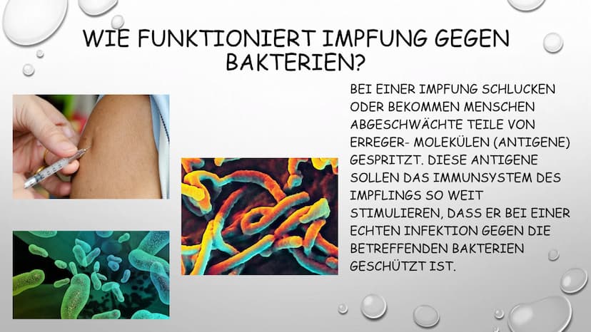 
<p>Was bedeutet Impfen?<br />
Eine Impfung, auch Schutzimpfung oder Vakzination (ursprünglich die Infektion mit Kuhpockenmaterial; von Late