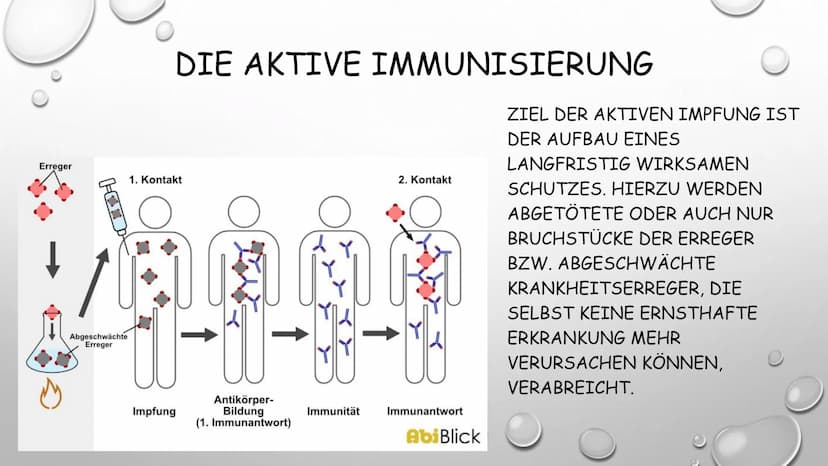 
<p>Was bedeutet Impfen?<br />
Eine Impfung, auch Schutzimpfung oder Vakzination (ursprünglich die Infektion mit Kuhpockenmaterial; von Late