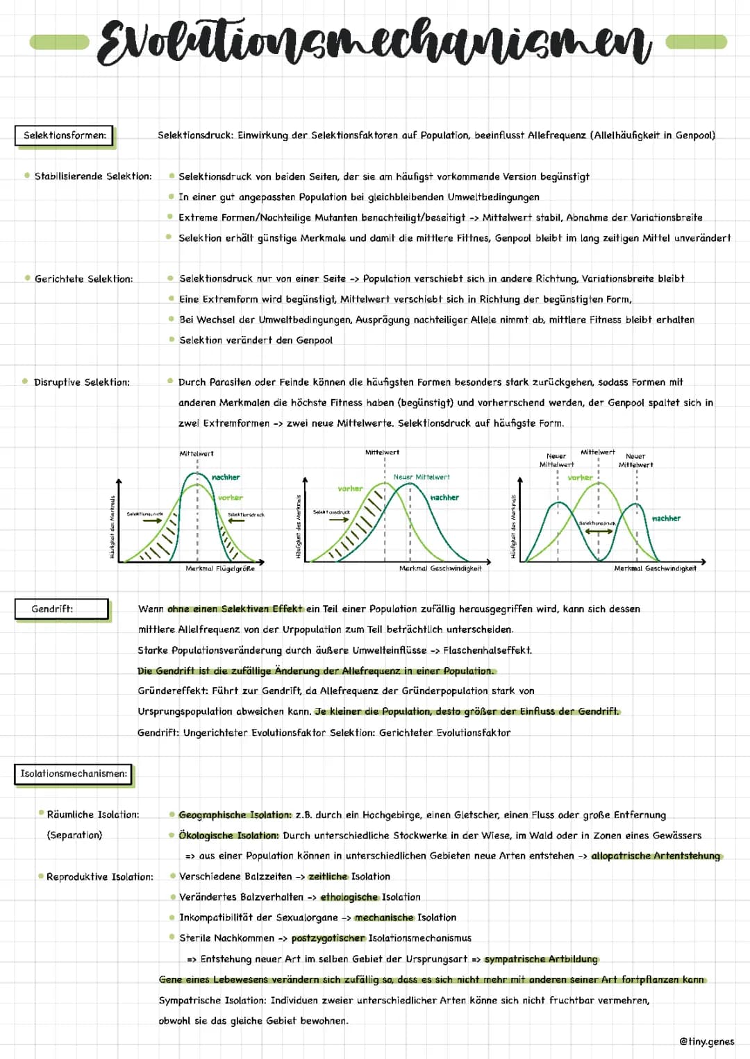 Evolutionsmechanismen