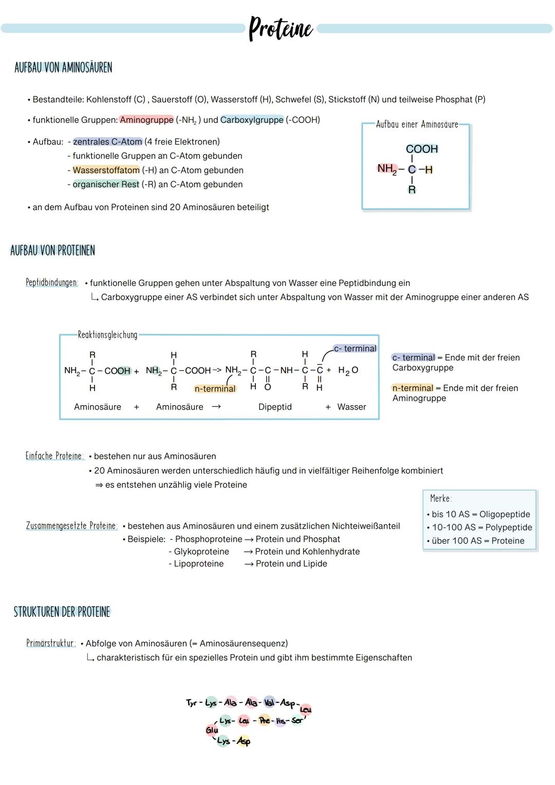 AUFBAU VON AMINOSÄUREN
Bestandteile: Kohlenstoff (C), Sauerstoff (O), Wasserstoff (H), Schwefel (S), Stickstoff (N) und teilweise Phosphat (