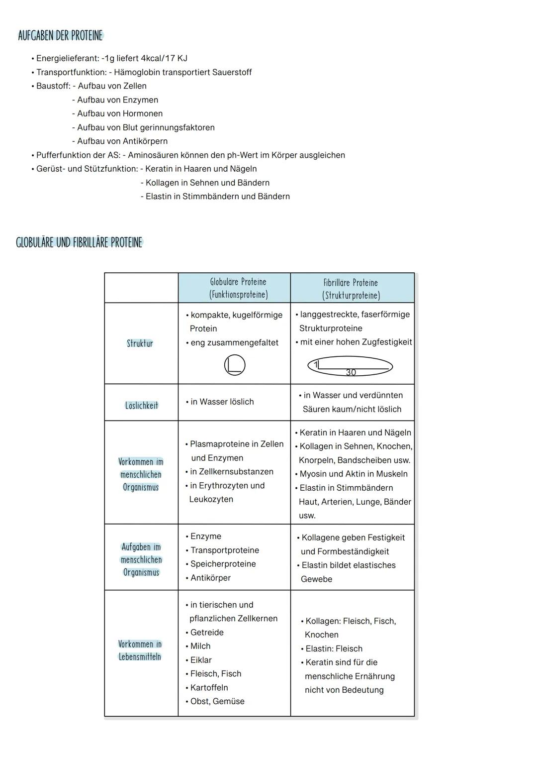 AUFBAU VON AMINOSÄUREN
Bestandteile: Kohlenstoff (C), Sauerstoff (O), Wasserstoff (H), Schwefel (S), Stickstoff (N) und teilweise Phosphat (