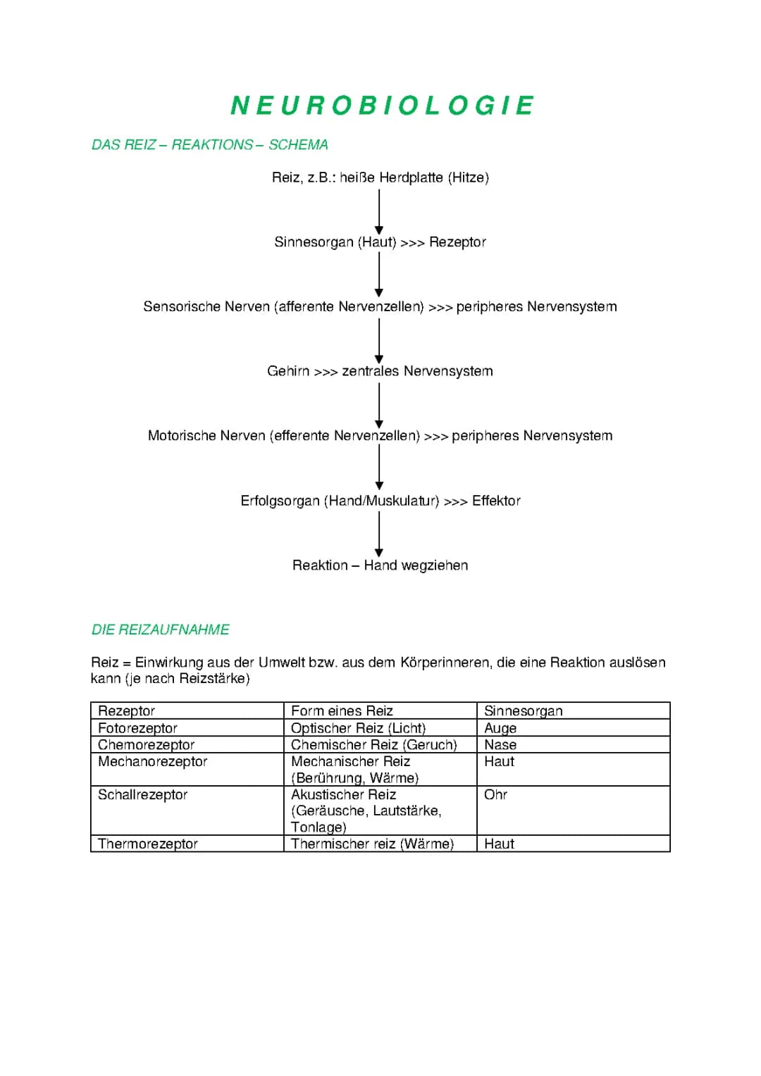 Neurobiologie Abitur
