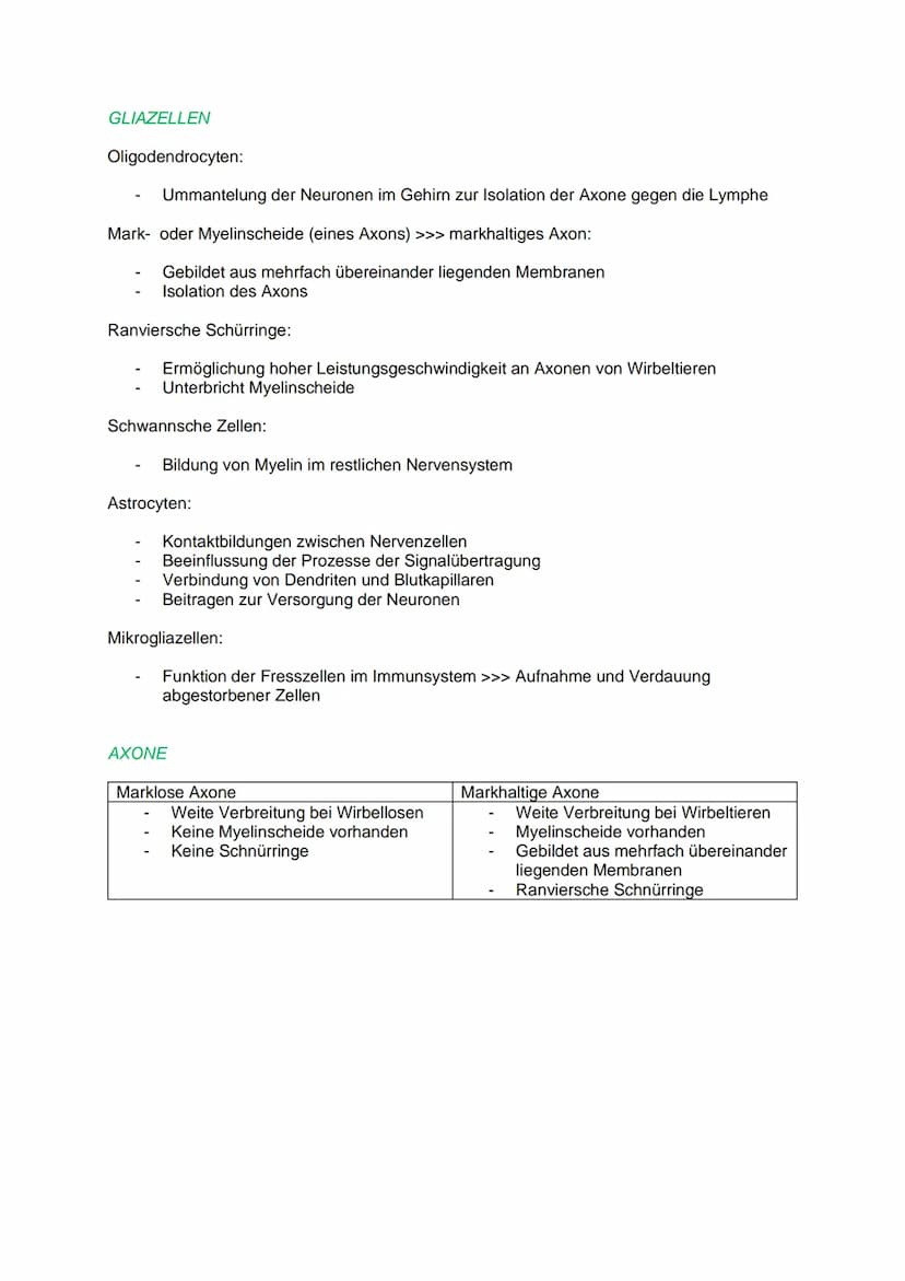 DAS REIZ-REAKTIONS- SCHEMA
NEUROBIOLOGIE
Reiz, z.B.: heiße Herdplatte (Hitze)
Sensorische Nerven (afferente Nervenzellen) >>> peripheres Ner