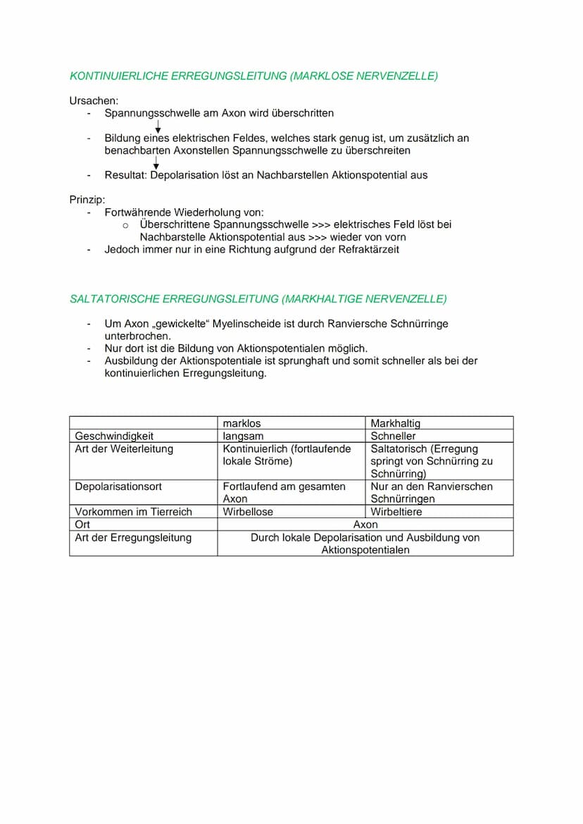 DAS REIZ-REAKTIONS- SCHEMA
NEUROBIOLOGIE
Reiz, z.B.: heiße Herdplatte (Hitze)
Sensorische Nerven (afferente Nervenzellen) >>> peripheres Ner