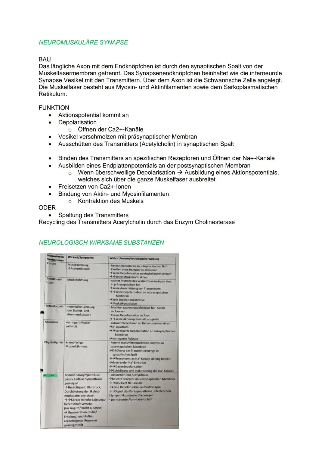 DAS REIZ-REAKTIONS- SCHEMA
NEUROBIOLOGIE
Reiz, z.B.: heiße Herdplatte (Hitze)
Sensorische Nerven (afferente Nervenzellen) >>> peripheres Ner