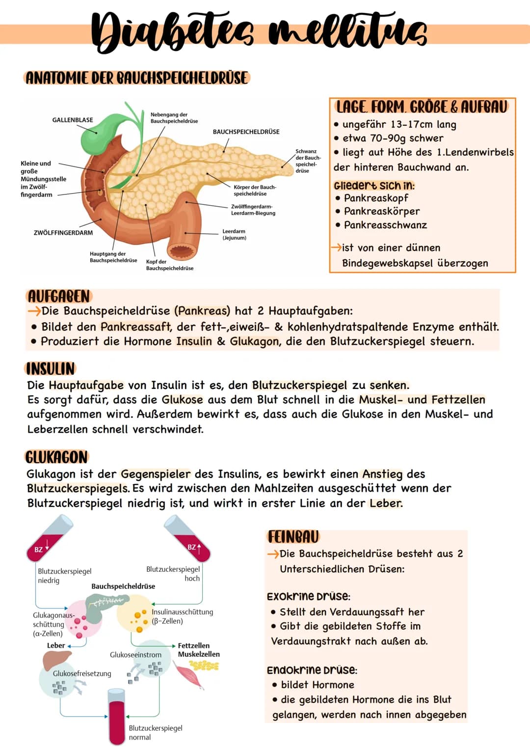 Diabetes mellituo
DEFINITION
Diabetes mellitus ist eine chronische Stoffwechselerkrankung, die dadurch entsteht das
die Insulinproduktion in