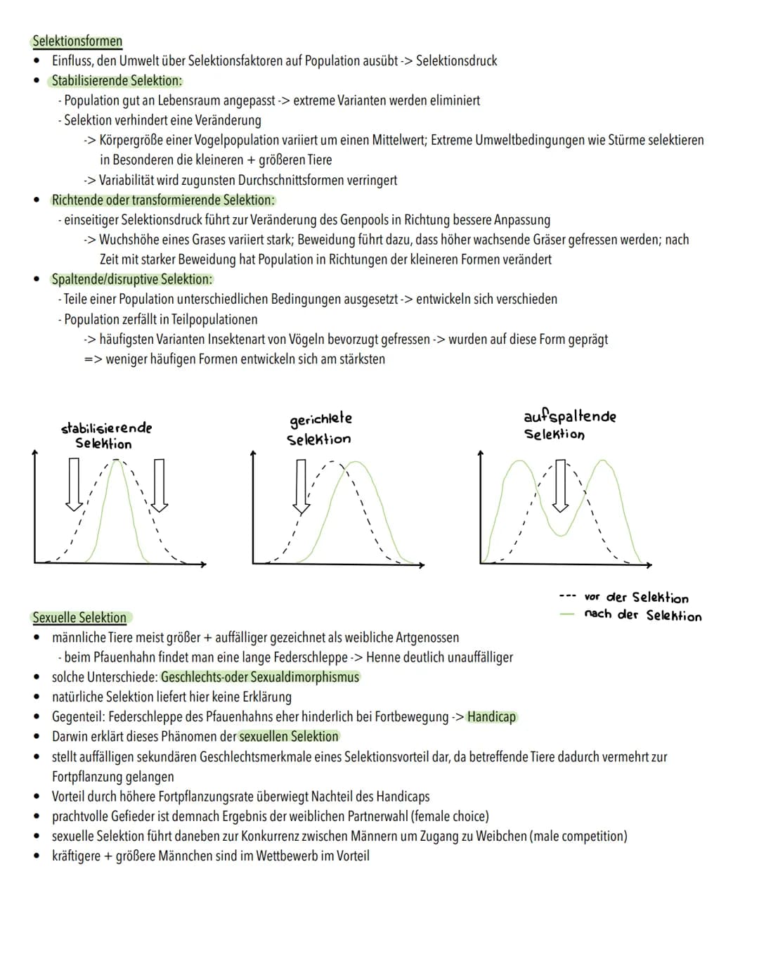 Evolution
Definition
Vorgang, bei dem sich genetische, also vererbbare, Merkmale einer Population über großen Zeitraum hinweg verändern
• Ve