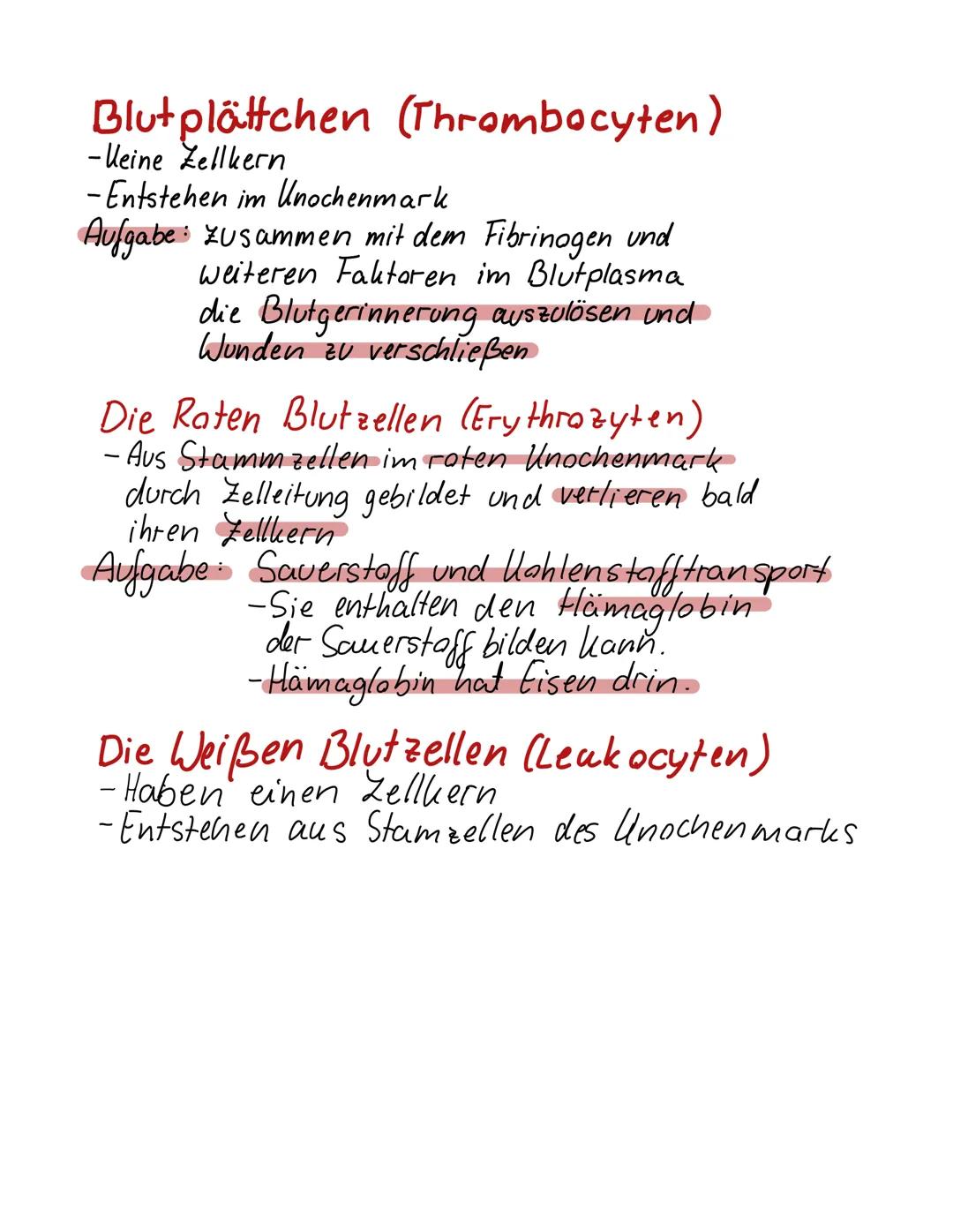 Roten Blutkörperchen
(Erythrocyten)
Weißen Blutkörperchen
(leukocyten)
Erythrozyt
Thrombozyten
(inaktiv)
Thrombozyten
(aktiviert)
Blutplättc