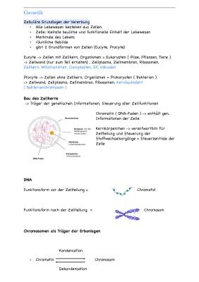 Know Biologie Genetik Zusammenfassung  thumbnail