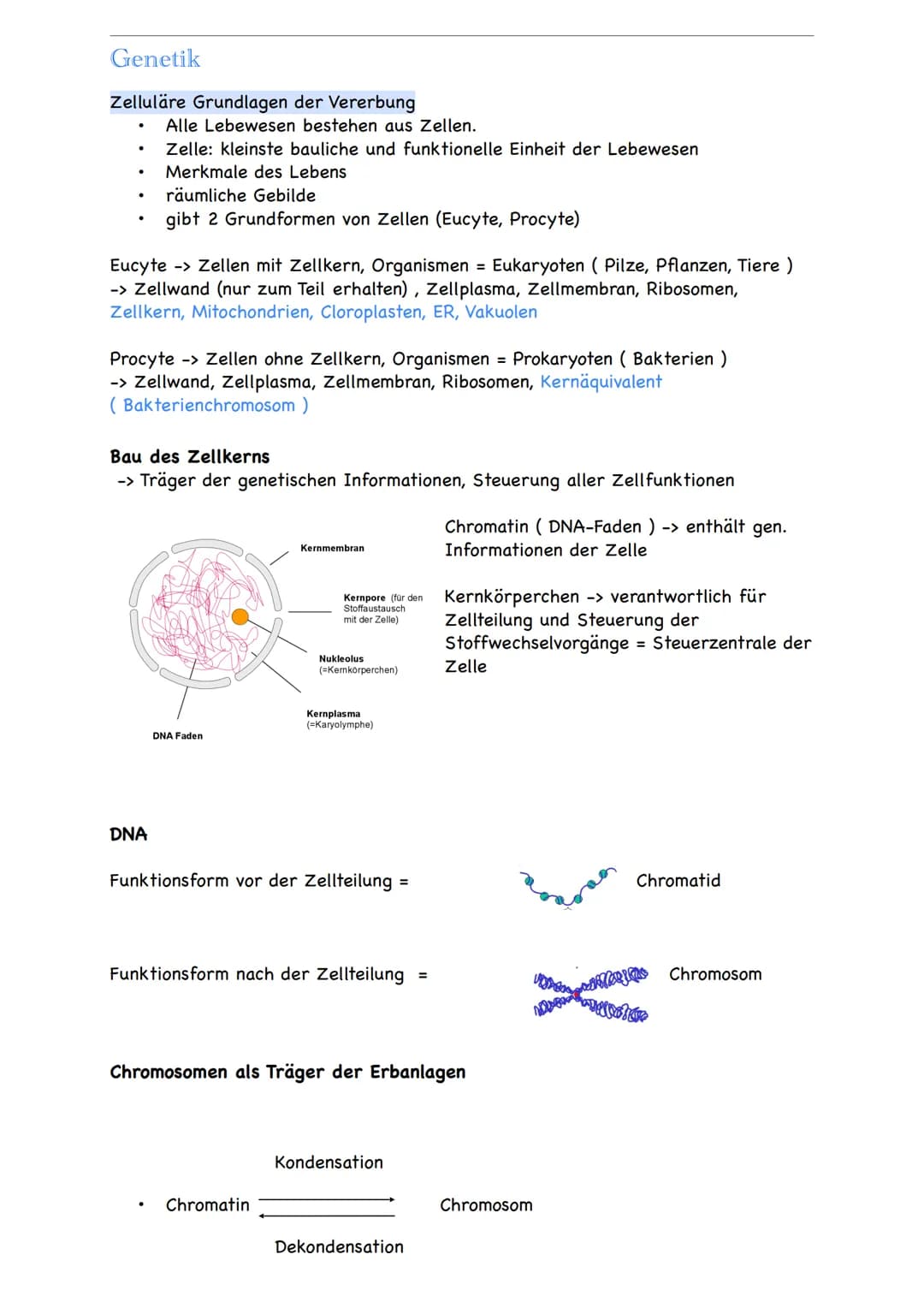 Genetik
Zelluläre Grundlagen der Vererbung
.
●
.
.
Alle Lebewesen bestehen aus Zellen.
Zelle: kleinste bauliche und funktionelle Einheit der