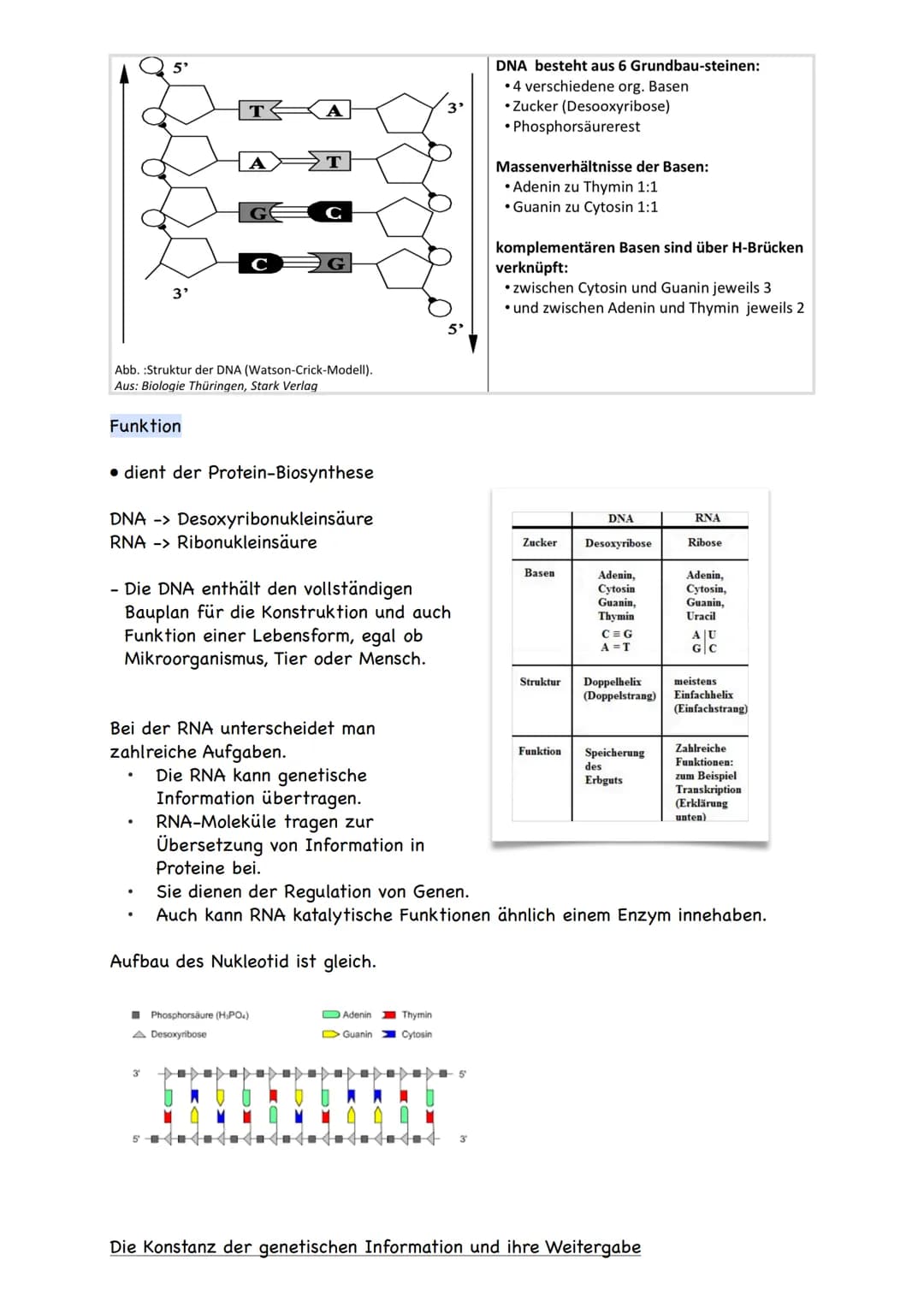 Genetik
Zelluläre Grundlagen der Vererbung
.
●
.
.
Alle Lebewesen bestehen aus Zellen.
Zelle: kleinste bauliche und funktionelle Einheit der