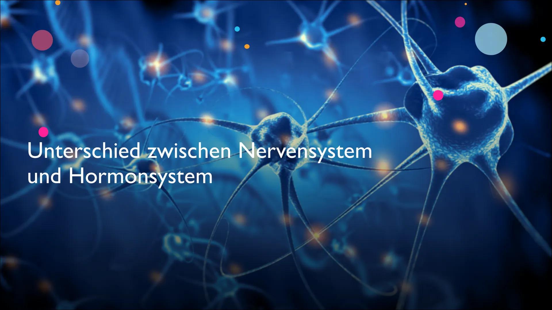 Hormone Inhalt
Was sind Hormone?
Hormonsystem
• Hormondrüsen
• Unterschied zwischen Nervensystem und Hormonsystem
• Östrogen
• Testosteron
•