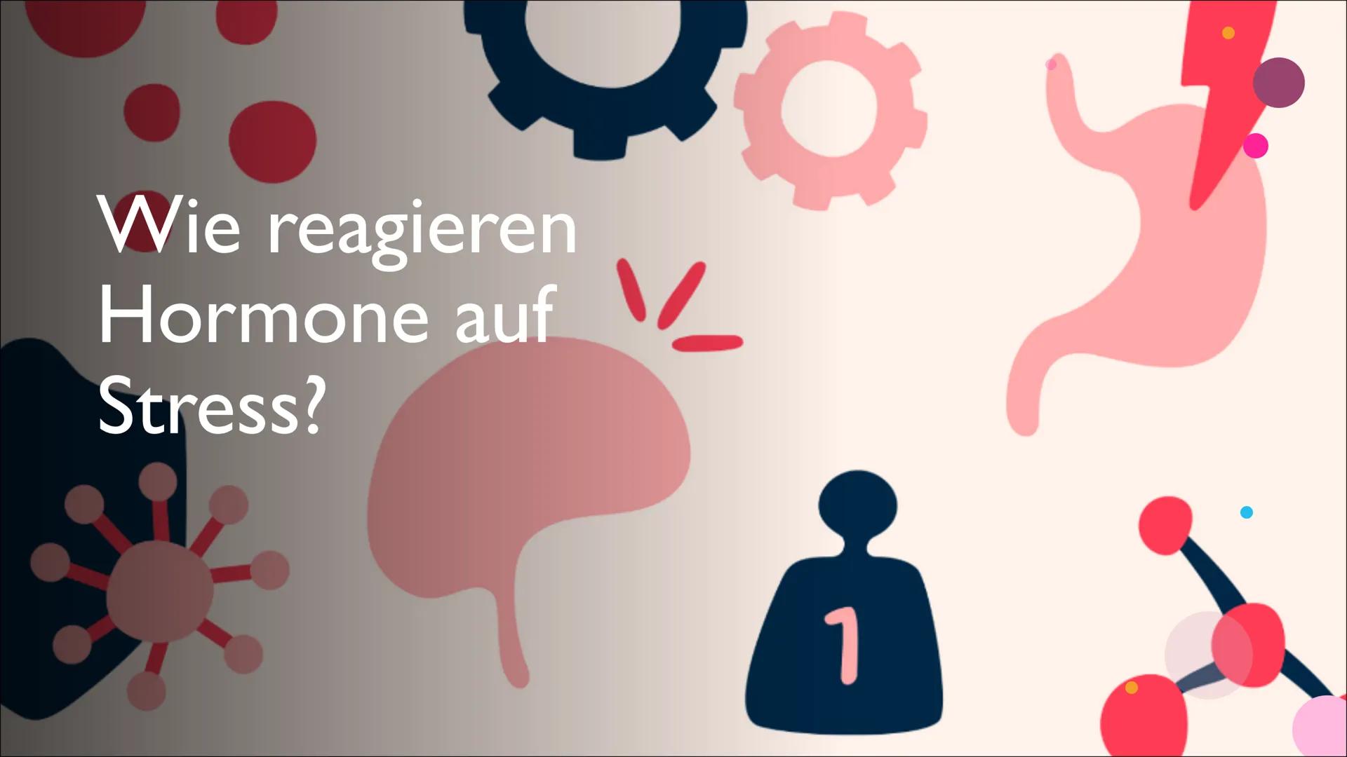 Hormone Inhalt
Was sind Hormone?
Hormonsystem
• Hormondrüsen
• Unterschied zwischen Nervensystem und Hormonsystem
• Östrogen
• Testosteron
•