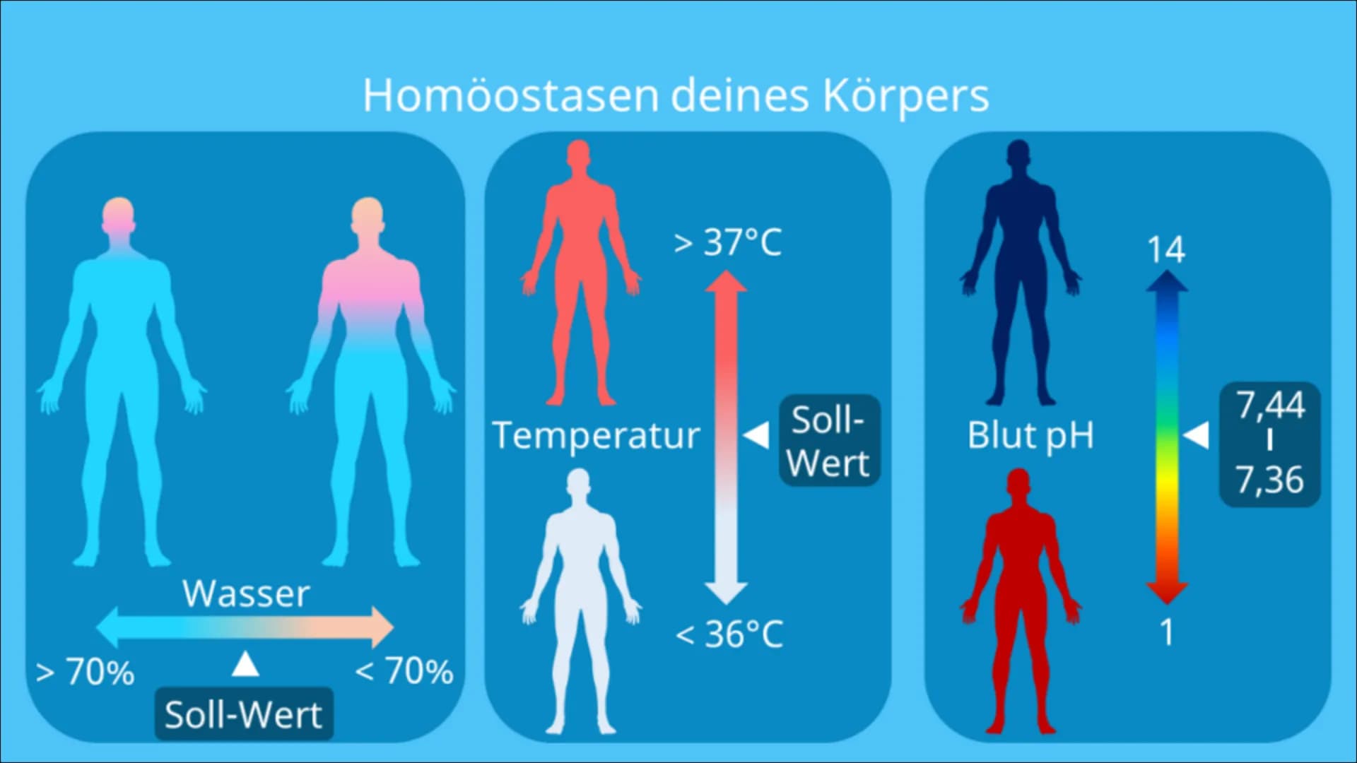 Hormone Inhalt
Was sind Hormone?
Hormonsystem
• Hormondrüsen
• Unterschied zwischen Nervensystem und Hormonsystem
• Östrogen
• Testosteron
•