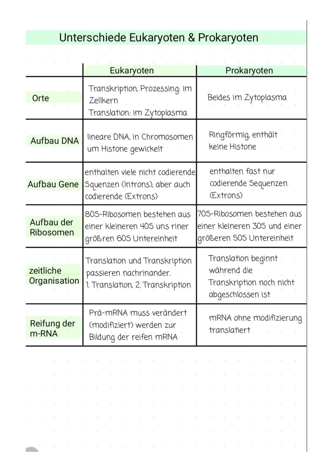 Orte
Unterschiede Eukaryoten & Prokaryoten
Aufbau DNA lineare DNA, in Chromosomen
um Histone gewickelt
Aufbau der
Ribosomen
Eukaryoten
entha