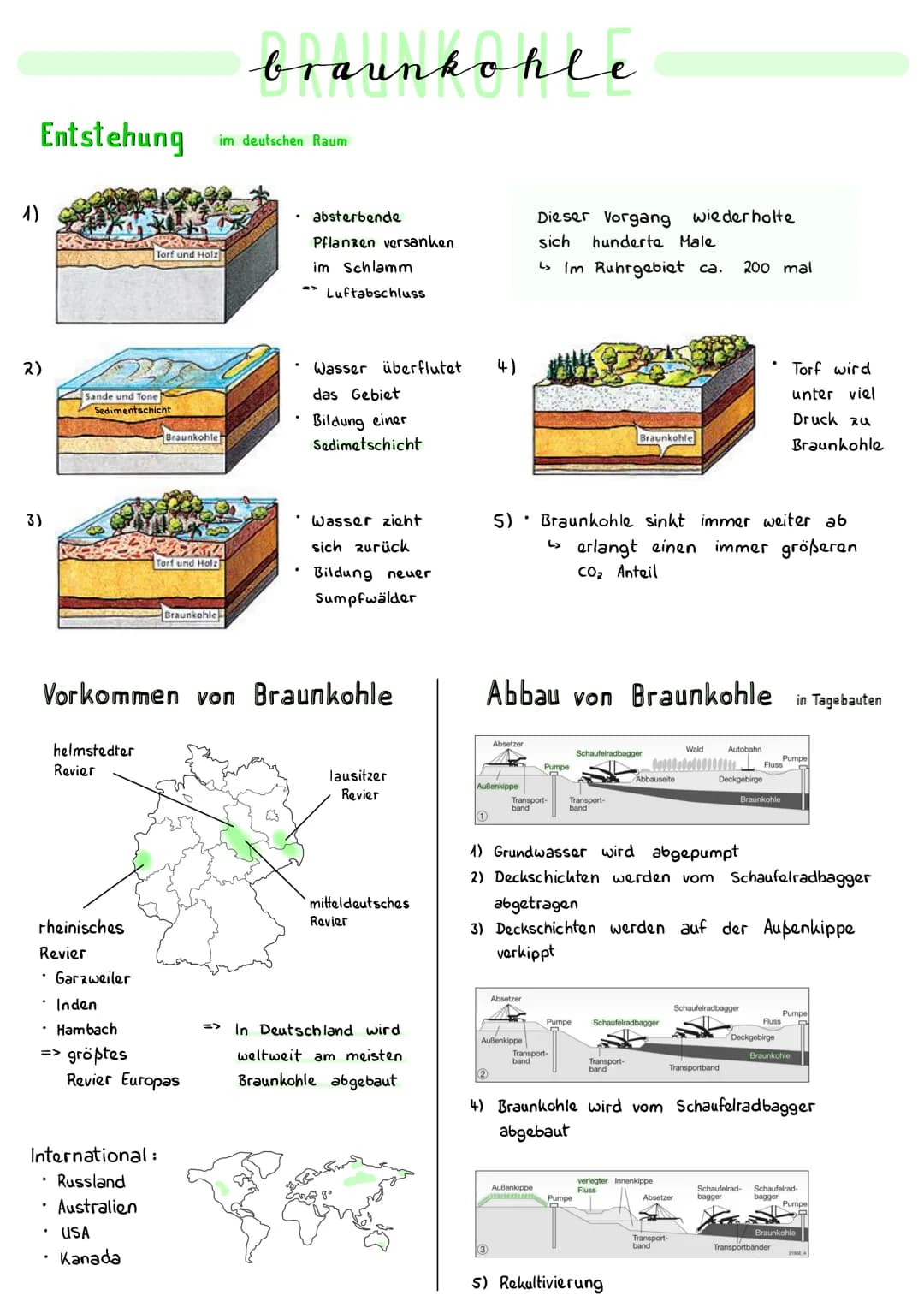 Entstehung
2)
3)
Sande und Tone
Sedimentschicht
rheinisches
Revier
• Garzweiler
• Inden
• Hambach
=> größtes
Torf und Holz
S
• USA
Kanada
Br