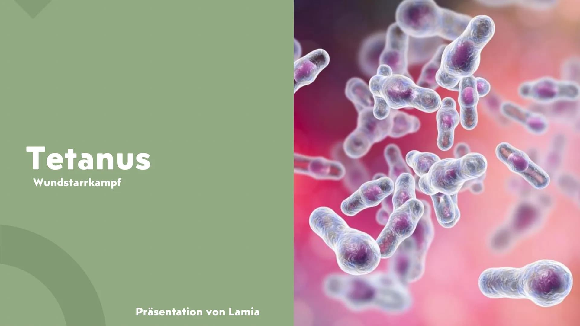 Tetanus
Wundstarrkampf
Präsentation von Lamia ●
●
Gliederung
Erreger, Art des Erregers
Bakterien Arten
Übertragungswege/Ansteckung
•
• Wirku