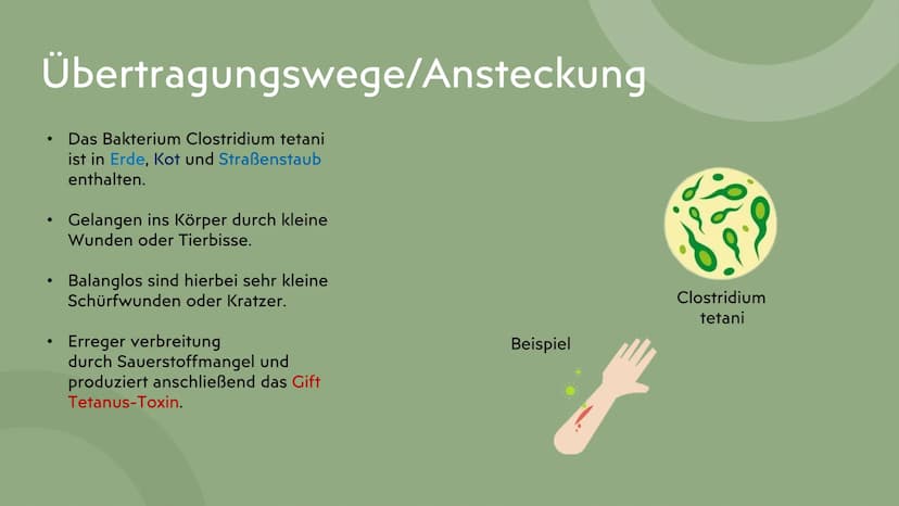 Tetanus
Wundstarrkampf
Präsentation von Lamia ●
●
Gliederung
Erreger, Art des Erregers
Bakterien Arten
Übertragungswege/Ansteckung
•
• Wirku