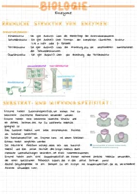 Know Lernzettel Enzyme  thumbnail