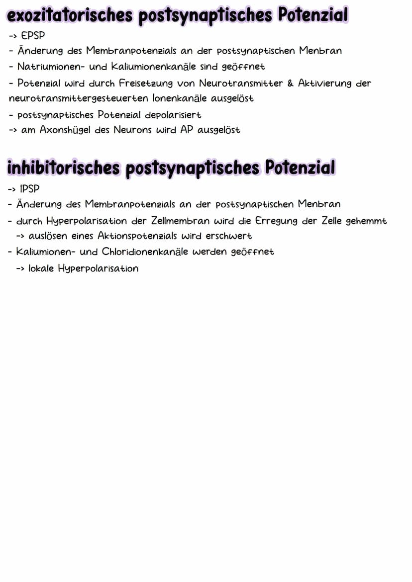 Neurobiologie Aufbau& Funktion der Nervenzelle
Bestandteile d. Nervenzelle
Dendriten
Zellkern
Soma
Axonhügel
Axon
Hüllzelle
Nervenfaser
Endk