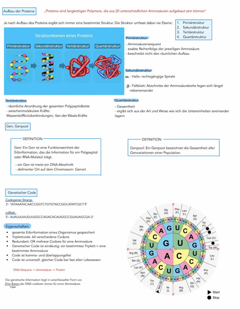 Aufbau der DNA
Desoxyribose (Zucker)
HOC H₂
H
OH
Phosphatrest
HO-
3. C-Atom
OH
Molekulare Grundlagen der Vererbung und
,,DNA (Desoxyribonukl