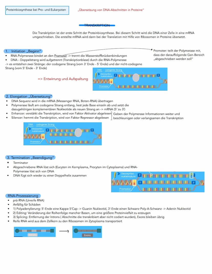 Aufbau der DNA
Desoxyribose (Zucker)
HOC H₂
H
OH
Phosphatrest
HO-
3. C-Atom
OH
Molekulare Grundlagen der Vererbung und
,,DNA (Desoxyribonukl