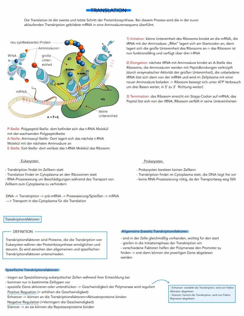 Aufbau der DNA
Desoxyribose (Zucker)
HOC H₂
H
OH
Phosphatrest
HO-
3. C-Atom
OH
Molekulare Grundlagen der Vererbung und
,,DNA (Desoxyribonukl