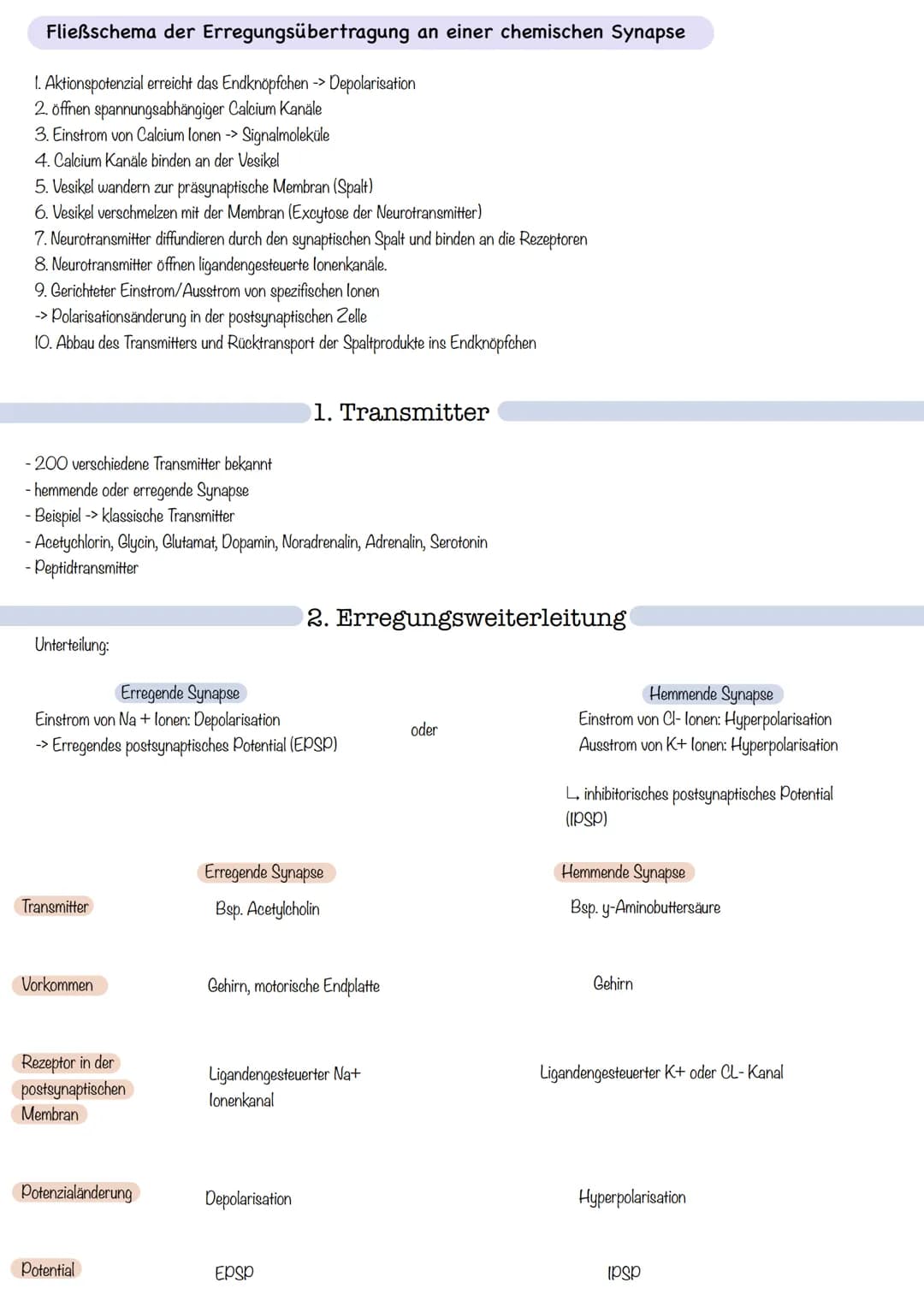 Zellkörper mit
organellen
Aufbau und Funktion der Norvenzelle
AUFBAU
Dendriten
Zellkern
Soma
Axonnugel
Ranvier-Schnurringe
Schwannsche Zelle